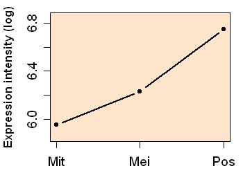 plot image