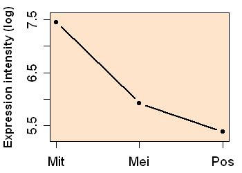 plot image