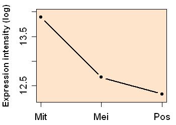 plot image