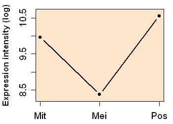 plot image