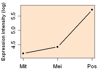 plot image