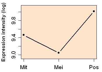 plot image