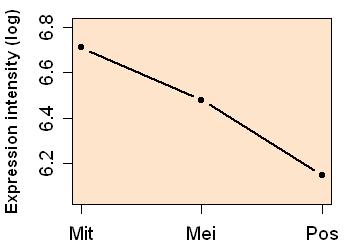 plot image