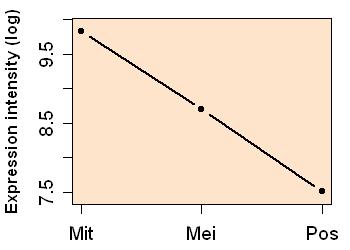 plot image