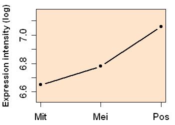 plot image