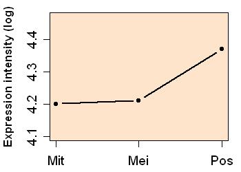 plot image