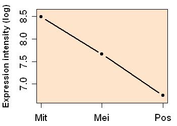 plot image