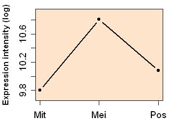 plot image