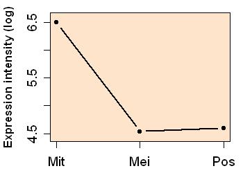 plot image