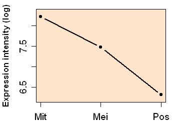 plot image