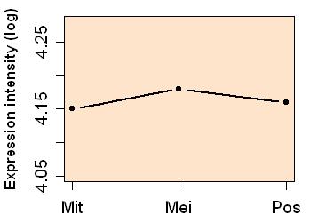 plot image