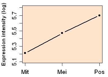 plot image