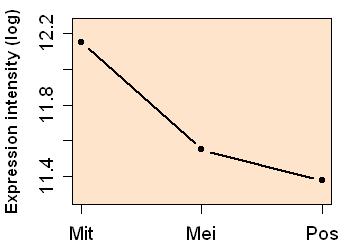 plot image