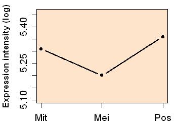 plot image