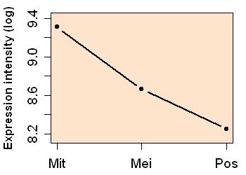 plot image