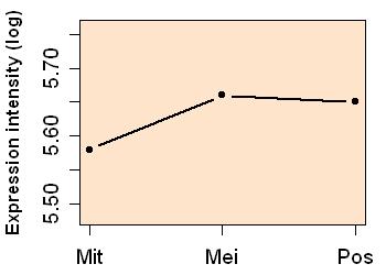 plot image