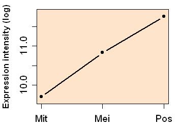 plot image