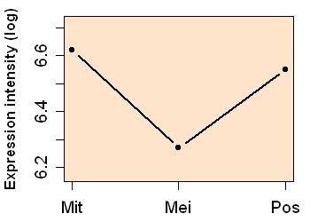 plot image