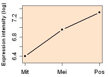 plot image