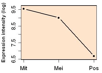 plot image