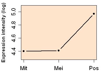 plot image