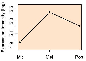 plot image