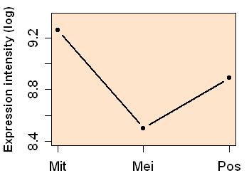 plot image