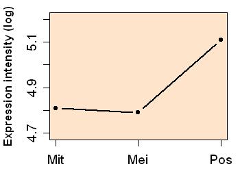 plot image