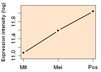 plot image