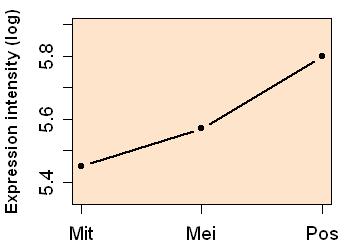 plot image