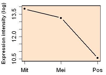 plot image