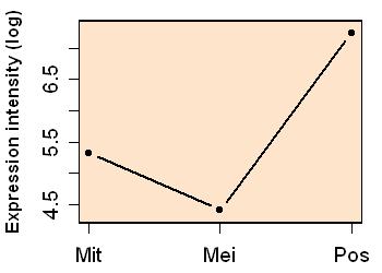 plot image