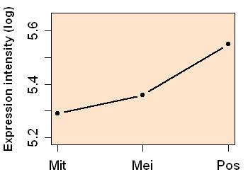 plot image