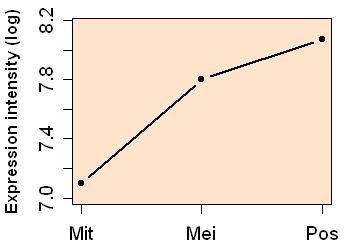 plot image