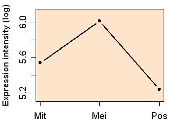 plot image