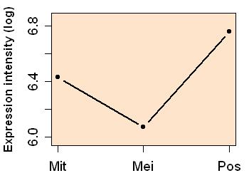 plot image