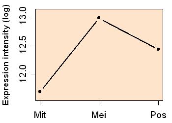 plot image