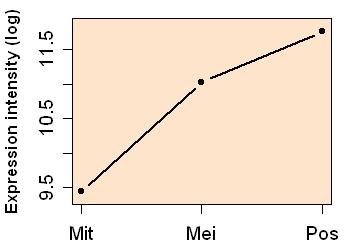 plot image