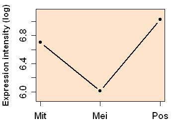 plot image