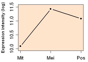 plot image