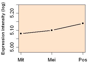 plot image