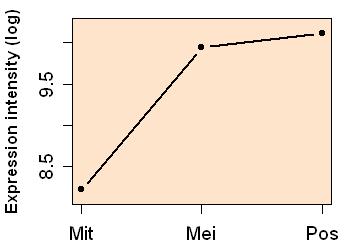 plot image