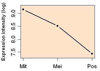 plot image