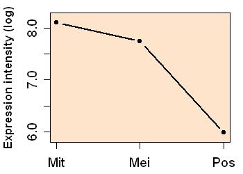 plot image