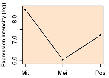 plot image