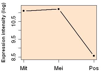 plot image