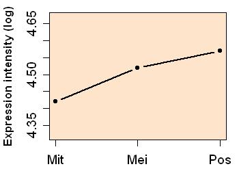 plot image