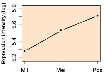 plot image