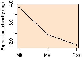 plot image