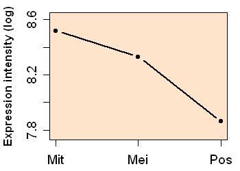 plot image